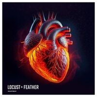 Heartbeat